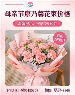 长春公主岭市花店母亲节康乃馨花束