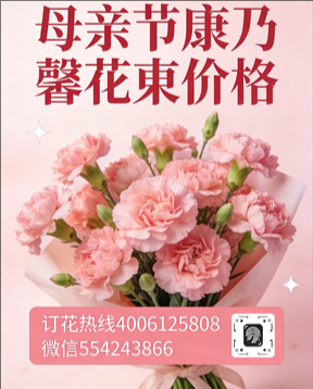 长春公主岭市花店母亲节康乃馨花束